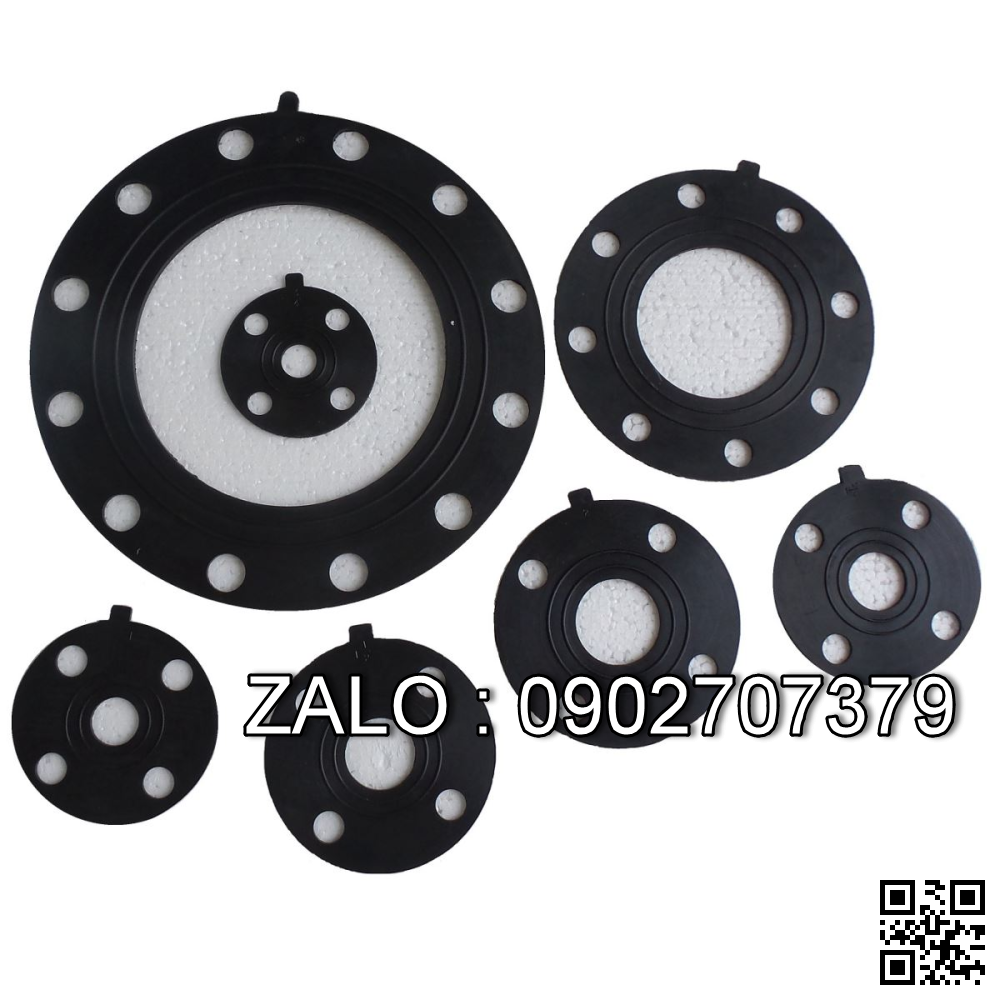 Ron Chì Mặt Bít, Ron Chì Inox Jis-10K, Ansi
