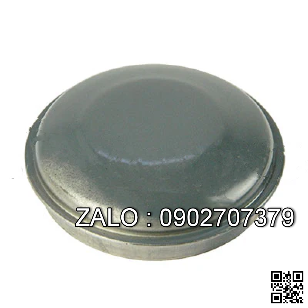 Hub Cover E01D4-12211