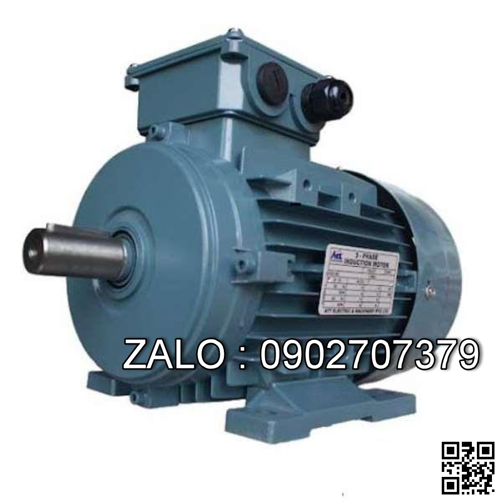 Motor chân đế 3 pha TransmaX 2.2kW (1000 RPM) 6 cực Vỏ gang