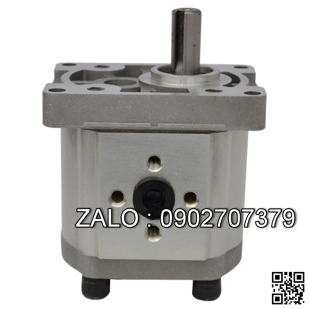 Bơm thủy lực Bánh răng TIMEWAY CBT-F306 CBT-F306