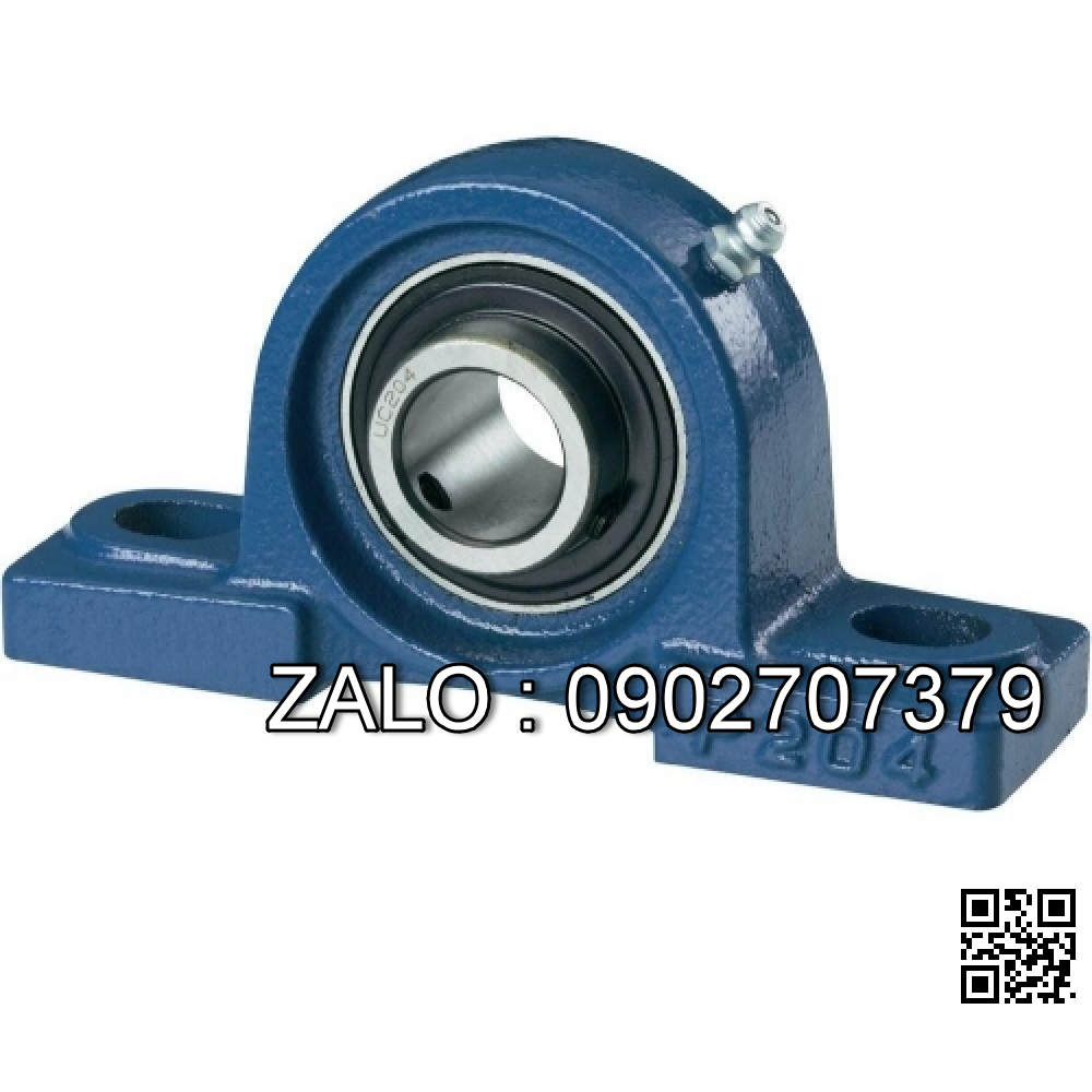 Vòng bi UCFL205 SKF