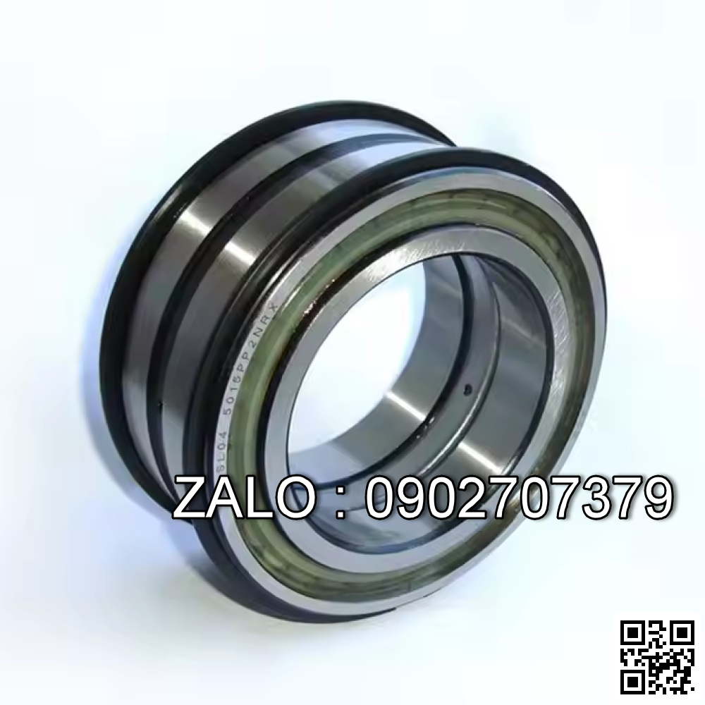 Vòng bi SL045060PP 300x460x218