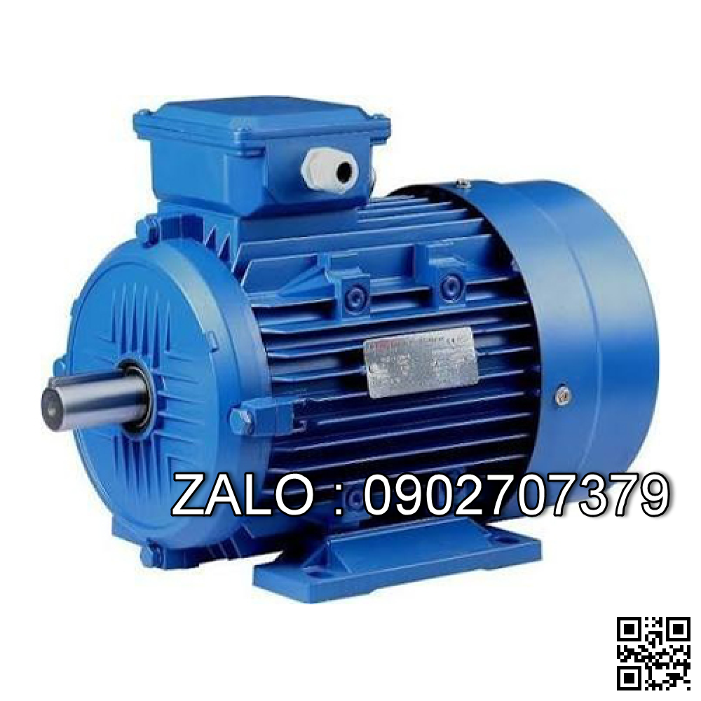 Motor 3 pha 380V 5HP 3.7 KW ( cốt lồi )