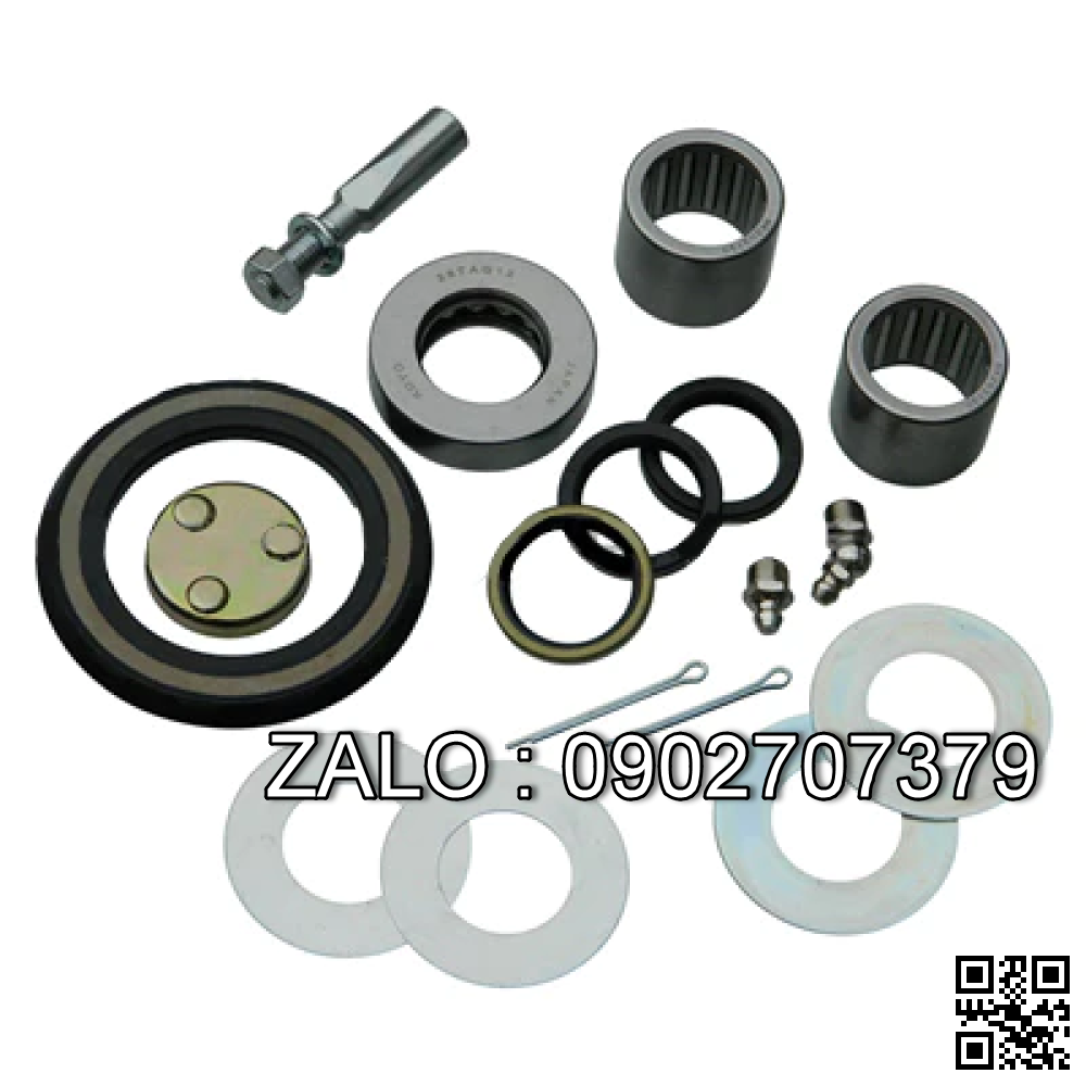 KING PIN REPAIR KIT 04431-20052-71