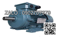 Motor 3 pha 380V giảm tốc 1/200 TECO ( cốt lồi )