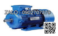 Motor S2 cho bơm dầu EFP40