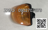 Xi nhan trước 24V,25W