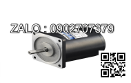 Motor giảm tốc mini Wanshsin 80YS25DV22 25W 1 Pha 220V