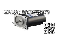 Motor giảm tốc mini Wanshsin 80YS25DV22 25W 1 Pha 220V