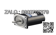 Motor giảm tốc mini Wanshsin 80YS25DV22 25W 1 Pha 220V