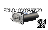 Motor giảm tốc mini Wanshsin 80YS25DV22 25W 1 Pha 220V