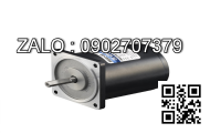 Motor giảm tốc mini Wanshsin 80YS25DV22 25W 1 Pha 220V