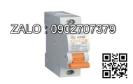 MCB LS 2 Cực 10 KA 50 A BKN-B-2P650