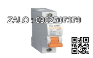 MCB LS 2 Cực 10 KA 50 A BKN-B-2P650