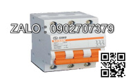 MCB LS 2 Cực 10 KA 50 A BKN-B-2P650