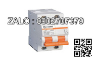 MCB LS 2 Cực 10 KA 50 A BKN-B-2P650