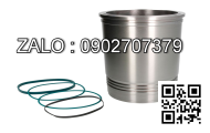 Xi lanh thủy lực AMS2-TS-180/110-100-B2