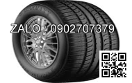 Lốp xe 165/65R13 Michelin