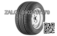 Lốp xe 175/65R14 Michelin