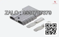 Bình ắc quy Acdelco 12V 12V-100AH DIN 190 352X174X190