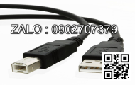 Dây thắng tay BD190-002-01