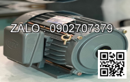 MOTOR A06B-0031-B575 0.3KW