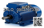 Motor HELI H2000/CPD10-15