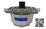 Bơm thủy lực bánh răng CBN-F312-CFLP