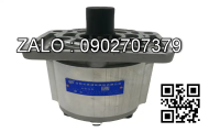 Bơm thủy lực bánh răng JP30-14-F32-S8-SR