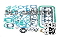 GASKET; PLUG