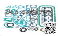 GASKET; PLUG