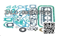 GASKET; PLUG