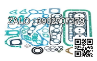 GASKET; PLUG