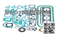 GASKET; PLUG