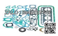 GASKET; PLUG