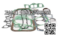 GASKET; PLUG