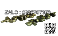 Crankshaft 12200-6T001