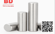 Chốt ( Kết nối thanh kết nối pin )