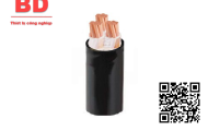 Hộp đầu cos tổng hợp 300 cái đầu cos đủ loại