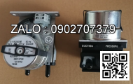 Motor thủy lực piston JMDG8-700 ( 8 răng, trục 50, MĐV 256mm )