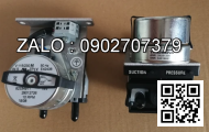 Motor thủy lực piston JMDG8-700 ( 8 răng, trục 50, MĐV 256mm )