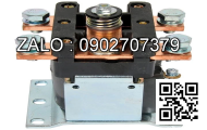 CONTACTOR ASSEMBLY SOLENOID SW841-25 24V