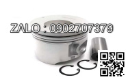 Piston N163-224300-001