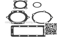 GASKET; PLUG