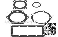 GASKET; PLUG