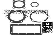 GASKET; PLUG