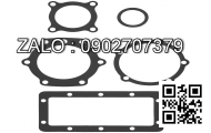 GASKET; PLUG