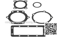 GASKET; PLUG