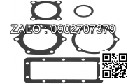 GASKET; PLUG