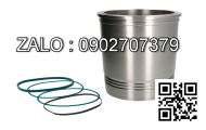 Xi lanh thủy lực AMS2-TS-180/110-100-B2